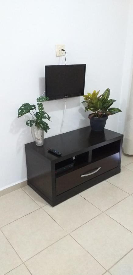 Apartamento No Canto Do Forte, Wi-Fi, Estacionamento Gratuito E Churrasqueira 프라이아 그란데 외부 사진